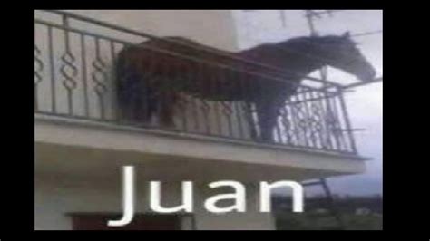 juan caballo memes|juan horse meme explained.